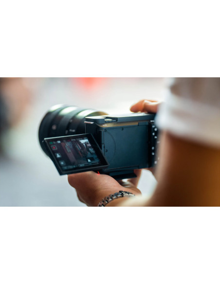 ZV-E1 + FE 28-60mm f/4-5.6